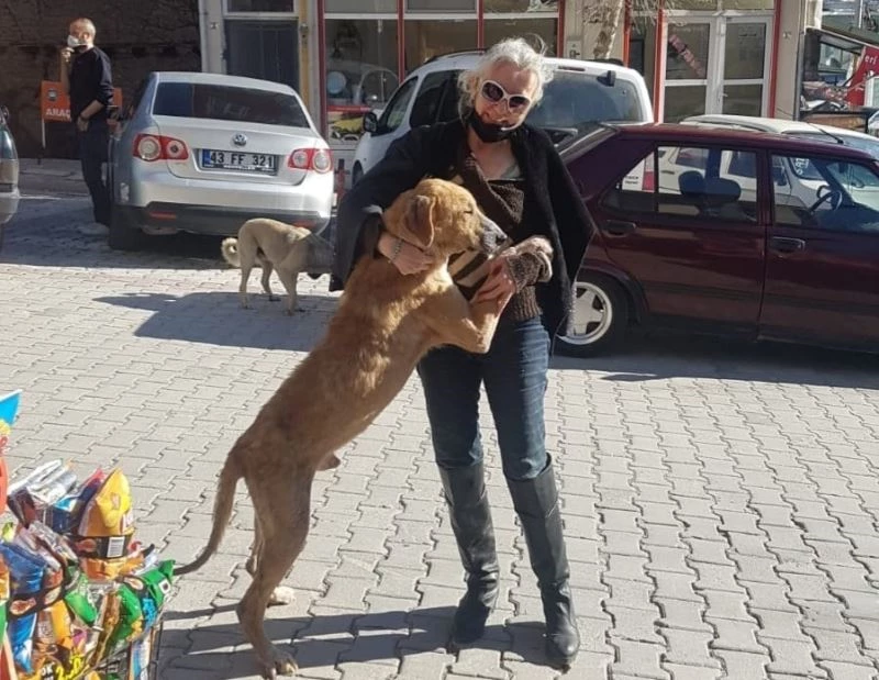 İstanbul’da tedavi götürülen hasta sokak köpeği Emet’e geri getirildi
