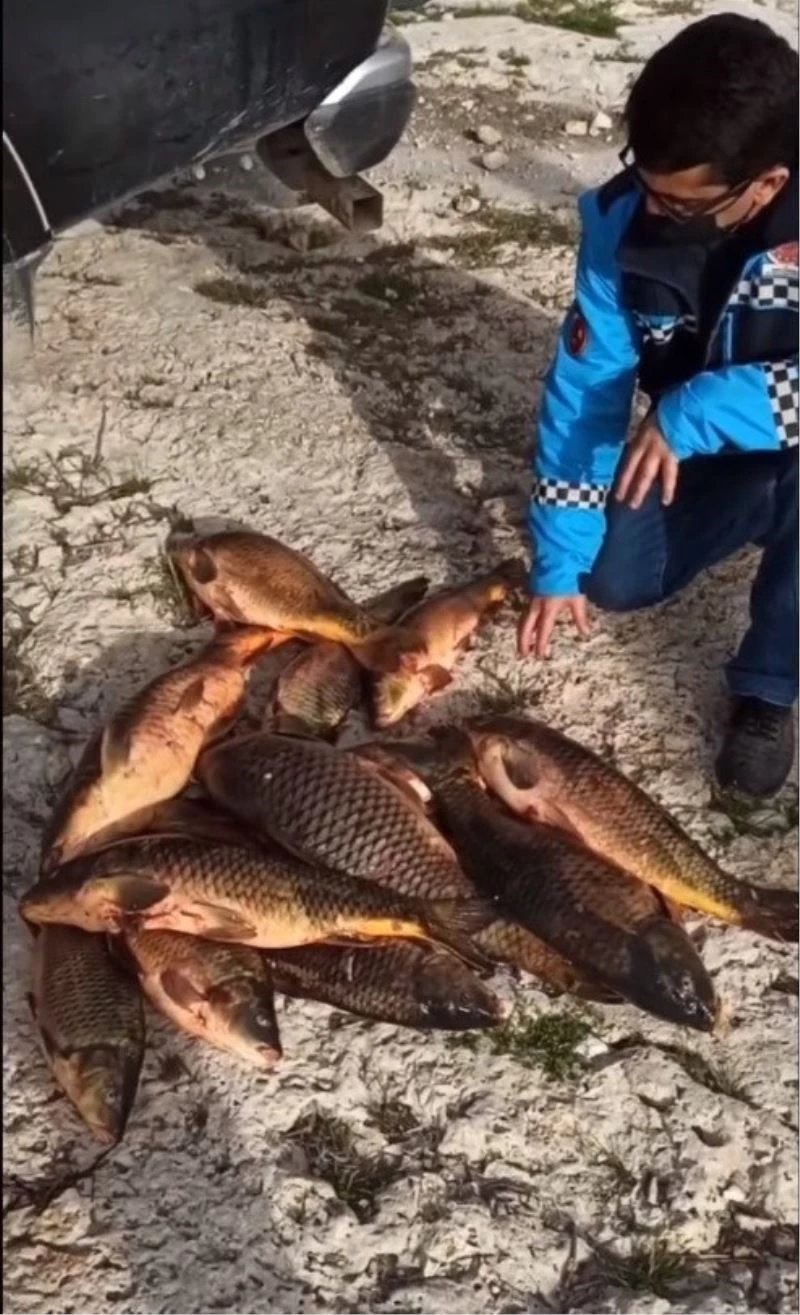 Eğirdir Gölü’nde av yasağına rağmen katliam
