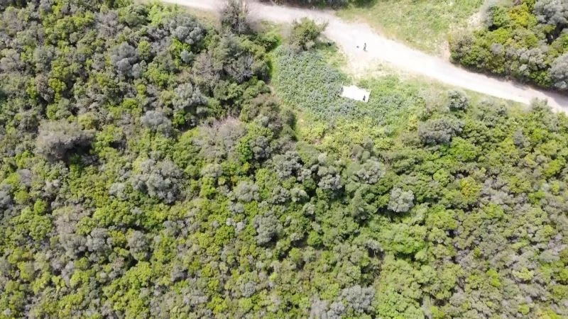 (Özel) Adalar’da ürküten iddia: ‘Sağlıklı atları, ruam hastası atlarla aynı yere kapattılar’
