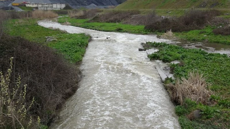 Atıksu tesisindeki sular arıtılmadan akıtıldı, Riva Deresinde su kirliliği oluştu
