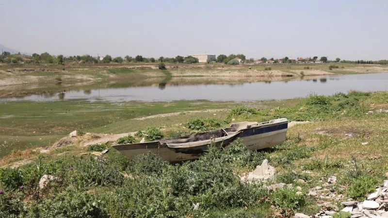 Yeterince sulanamayan buğdaylar erkenden baş verdi
