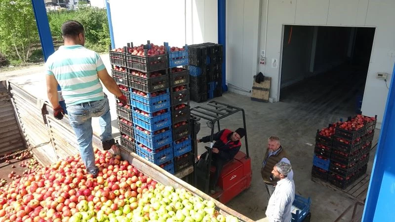 (Özel) Bursa’da tonlarca meyve soğuk hava depolarında kaldı
