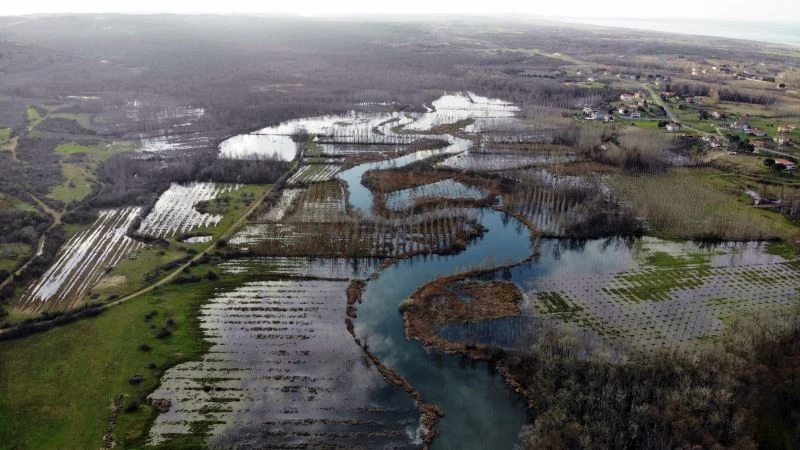 Dünyada ikinci, Türkiye’de ise tek parça halindeki en büyük longoz
