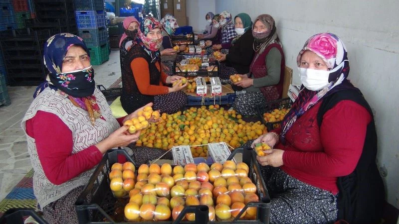 Semt pazarlarına iki gün izin verildi haller hareketlendi
