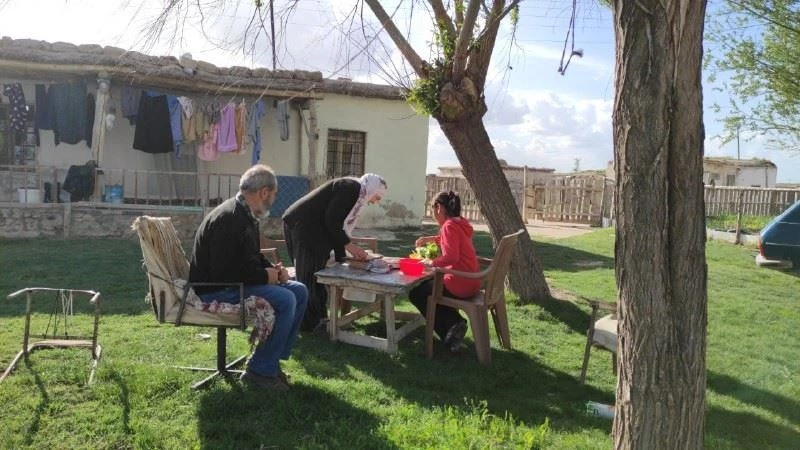 Tam kapanmayı doğa ile iç içe geçiriyorlar
