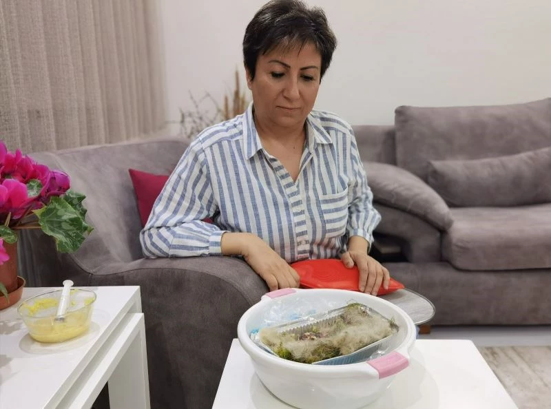 Annesi ölen kırlangıç yavrularına sahip çıktı
