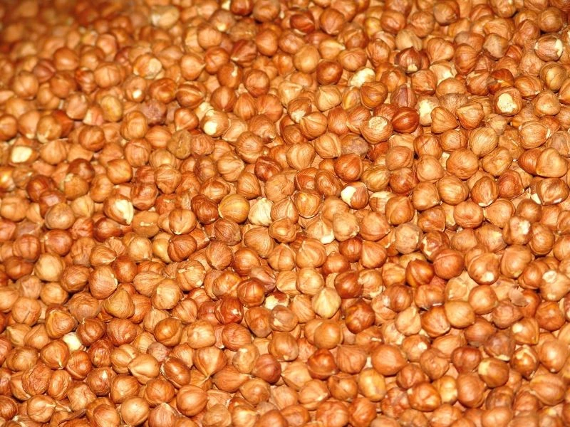 KFMİB: “Fındık popüler tıp camiasında görmezden geliniyor”
