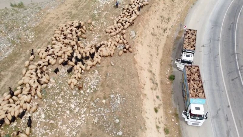 Göçerlerin zorlu yolculuğunu ’kırkayaklar’ sona erdirdi
