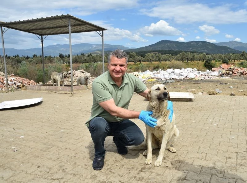 Edremit Belediyesi sokaktaki canların yanında
