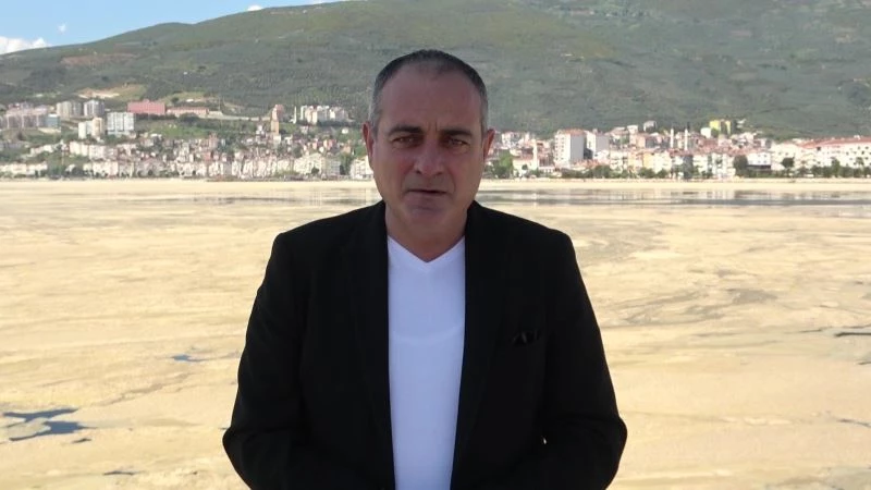 Gemlik Körfezinde salya istilası
