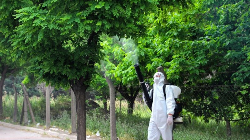 Kahramanmaraş’ta ağaçlar zararlılardan korunuyor
