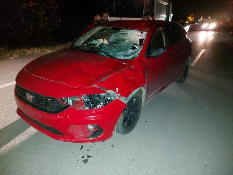 Otomobil ahırdan kaçan ata çarptı: Sürücü yaralandı, at telef oldu
