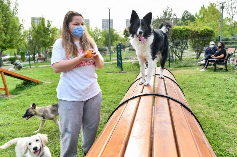 Ankara Büyükşehirden hayvanseverler için pati parkları
