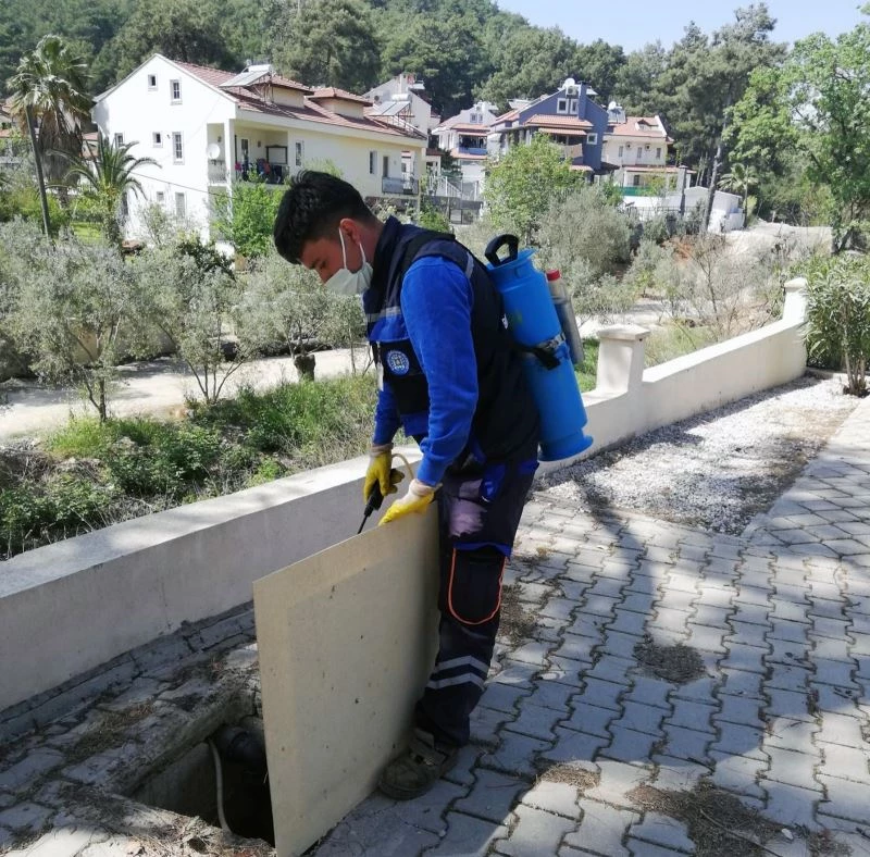 Vektör ile mücadele devam ediyor
