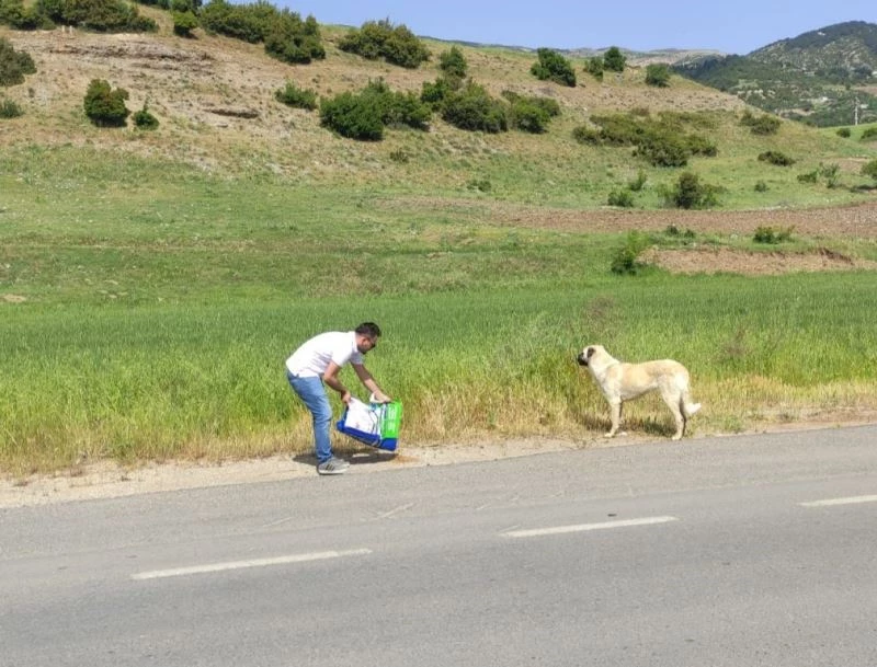 Hayvanseverlerden sokak hayvanlarına mama desteği
