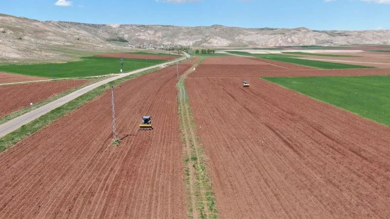 Patates üretiminde ilk sıralarda olan Sivas’ta tohumlar toprakla buluştu
