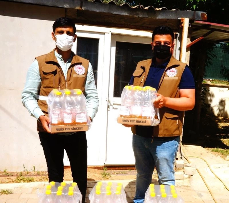 Sarıgöl’de kiraz üreticisini etkileyen sirke sineğiyle mücadele
