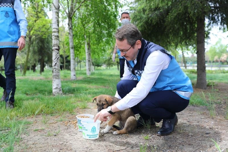 Başkan Kartoğlu “Her gün sevimli dostlarımızın yanındayız”
