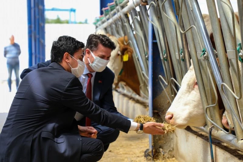 Beylikova’da açılan gıda işletmesinde 50 kişiye istihdam sağlanacak
