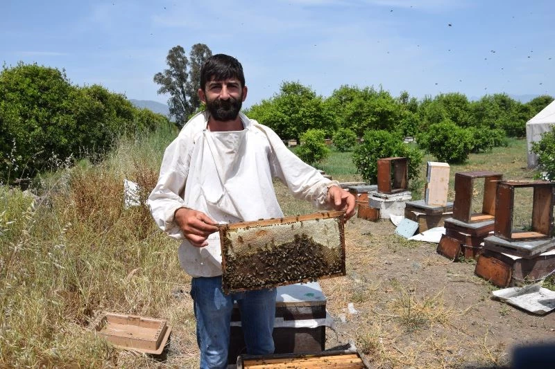 Antalya’da ilk bal hasadını yapan arıcılardan, aracı tepkisi
