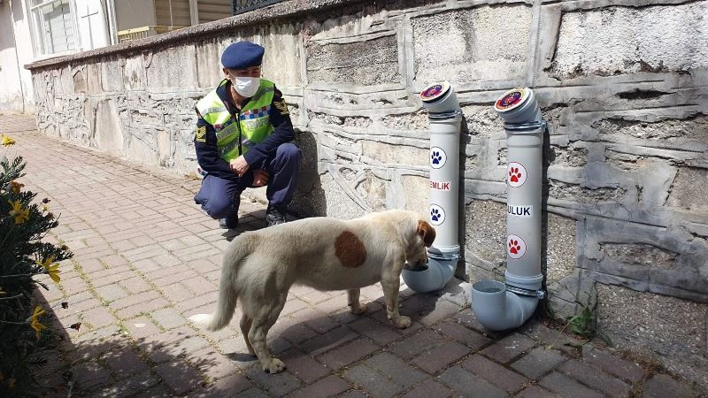 Nazilli Jandarma Timlerinden ‘Bir Kap Can’ Projesi
