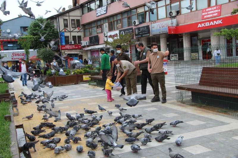 Orman Bölge Müdürlüğü ekipleri Devrek’te kuşları yemledi
