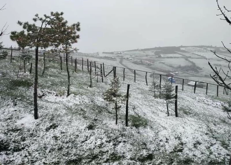 Ordu’nun yüksek kesimlerin ’kar’ sürprizi
