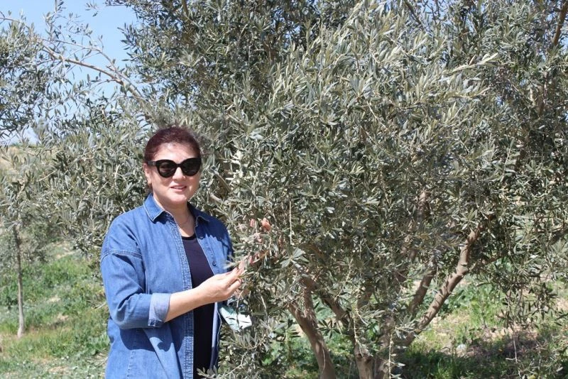 Sağlıklı bireyler için doğal beslenmeyi seçin
