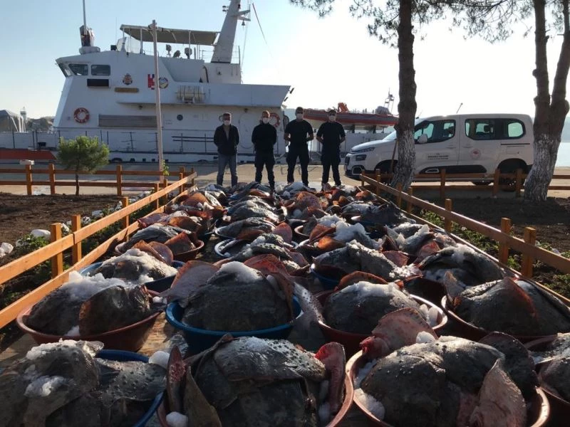 Kaçak avlanan 3 ton kalkan balığına Sahil Güvenlik ekipleri el koydu
