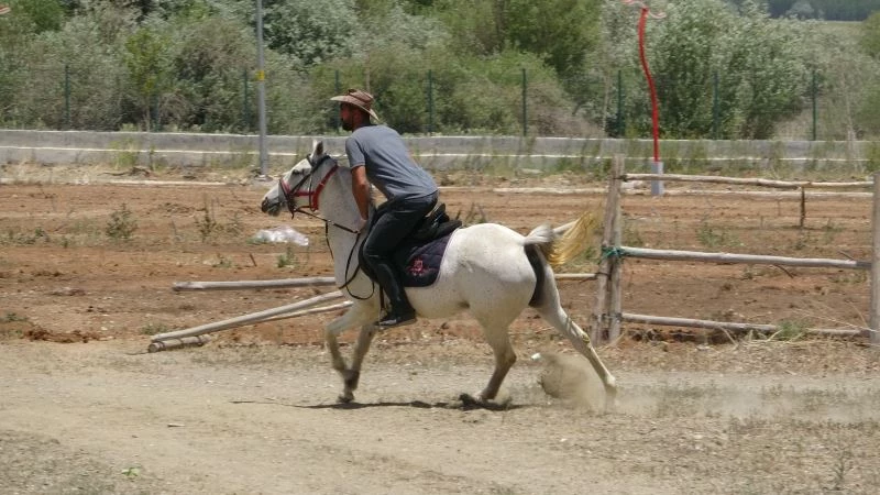Selçuklu ve Osmanlı konulu diziler biniciliğe ilgiyi artırdı
