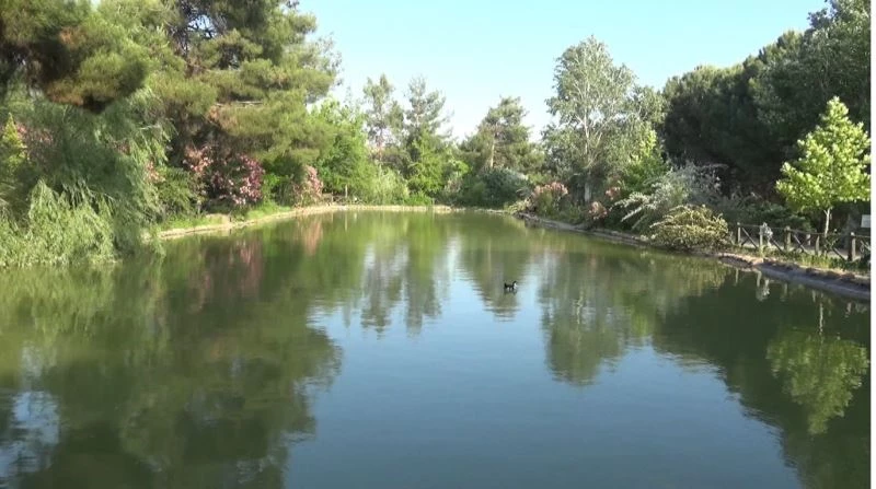 Botanik bahçe 300 bitkiye ev sahipliği yapıyor
