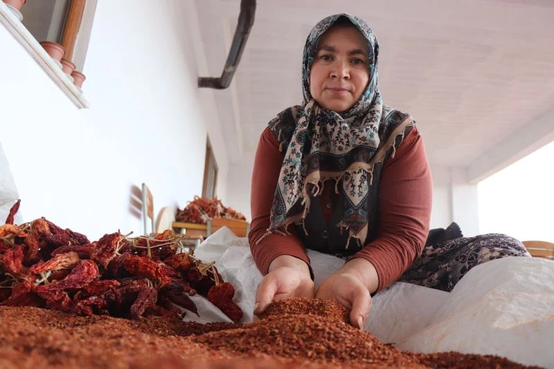 Tescilli biberde fidanlar toprakla buluştu
