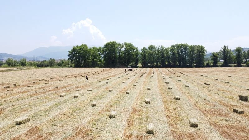 Asgari ücretle çalışırken kendi işlerinin patronu oldular
