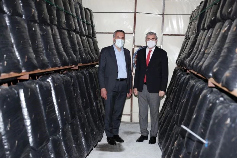 Başkan Yüce: “Tarımda ürün çeşitliliğini artıracak hamlelerimiz sürecek”
