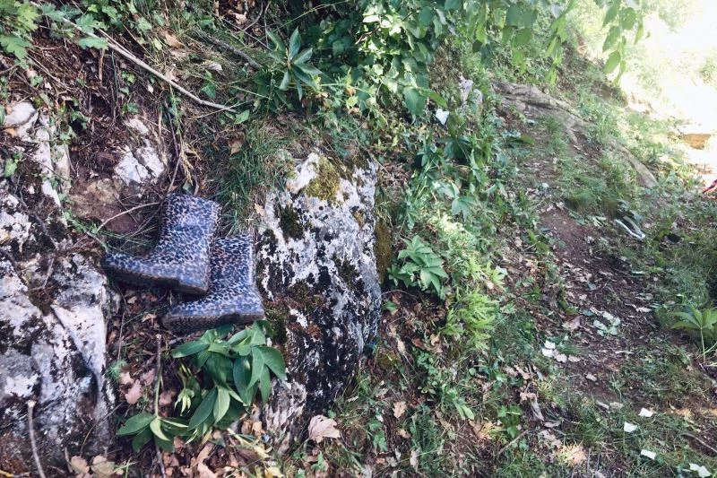 Hayvanlarını otlatırken yüksekten düşen yaşlı kadın hayatını kaybetti
