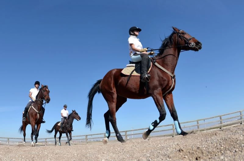 ESOGÜ Hippoterapi Araştırma ve Uygulama Merkezi’ne ödül
