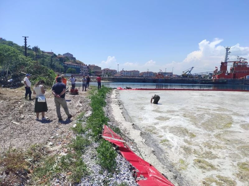 En özenli müsilaj temizliği
