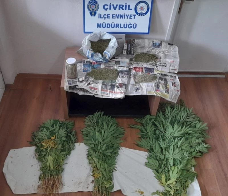 Evin bahçesinde 110 kök kenevir yetiştirdiler
