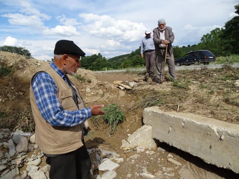 (ÖZEL) Tıkanan menfez yüzünden ekili arazileri su basıyor
