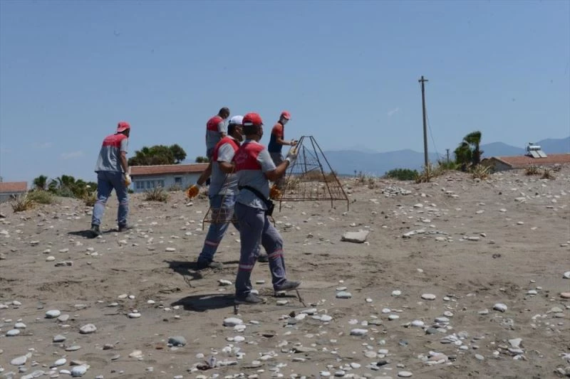 Caretta carettaların Kumluca ve Finike sahillerinde yuvalama süreci başladı