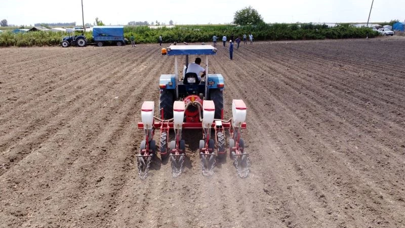 Tarsus Belediyesi, bu kez de yerli tohumla soya fasulyesi ekti
