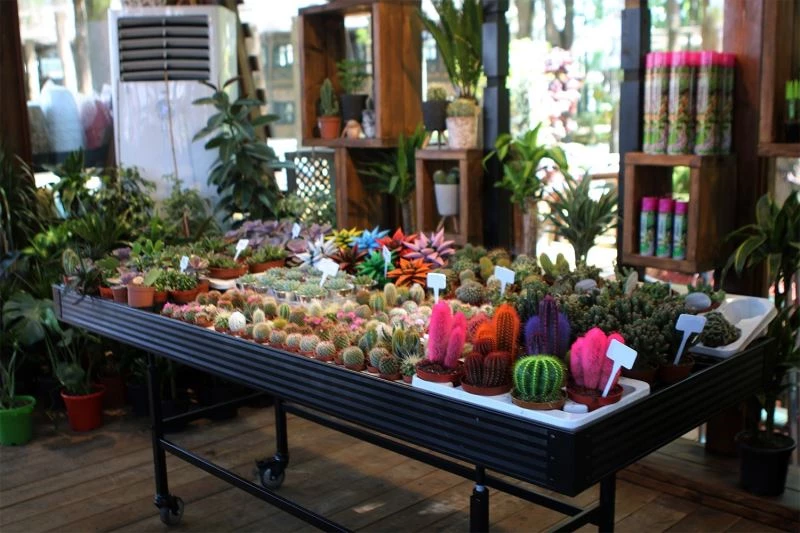 Bahçem satış merkezinin açılışı yapılıyor
