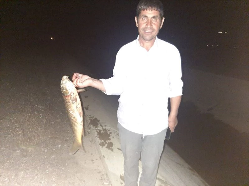 Arazi sulamak için çıktılar ellerinde balıkla eve döndüler
