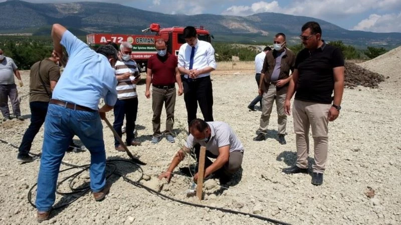 Mut’ta zeytin gen bahçesi kuruldu
