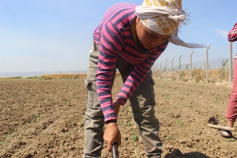 Tarlada çapa sallayıp şampiyonaya hazırlanıyor
