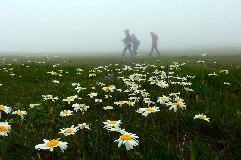 Aylar sonra ciğerlerini temiz havayla doldurdular
