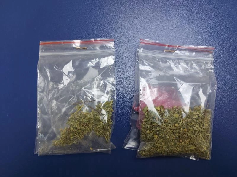 Polisin şüphelenerek arama yaptığı 2 kişinin üzerinden uyuşturucu çıktı
