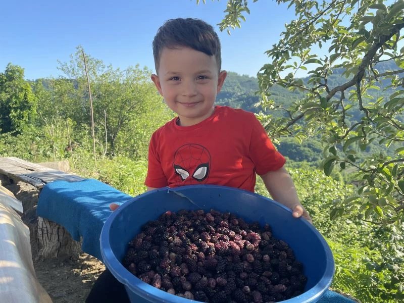 Ordu’da dut pekmezi zamanı
