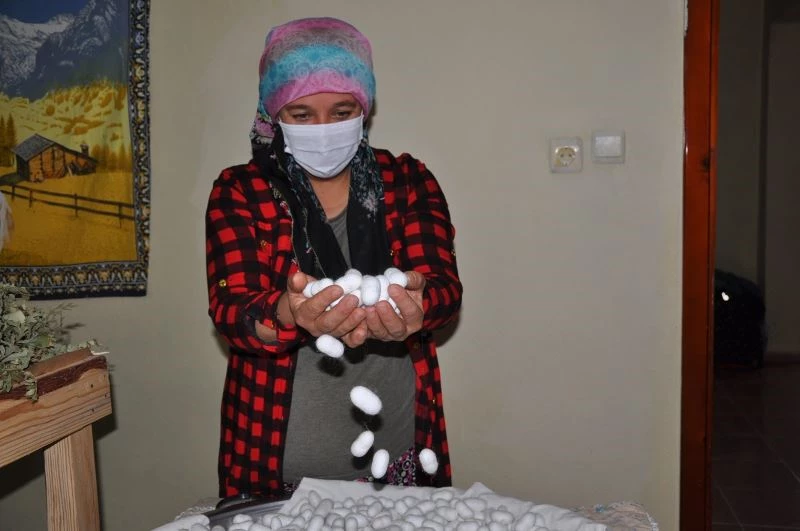 3 çocuk annesi, aldığı teşvikle ipek böceği yetiştirmeye başladı
