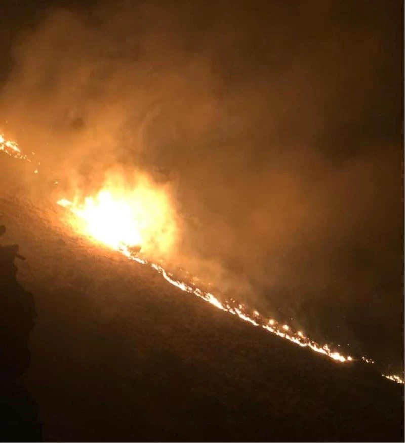 Keban’daki örtü yangını söndürüldü
